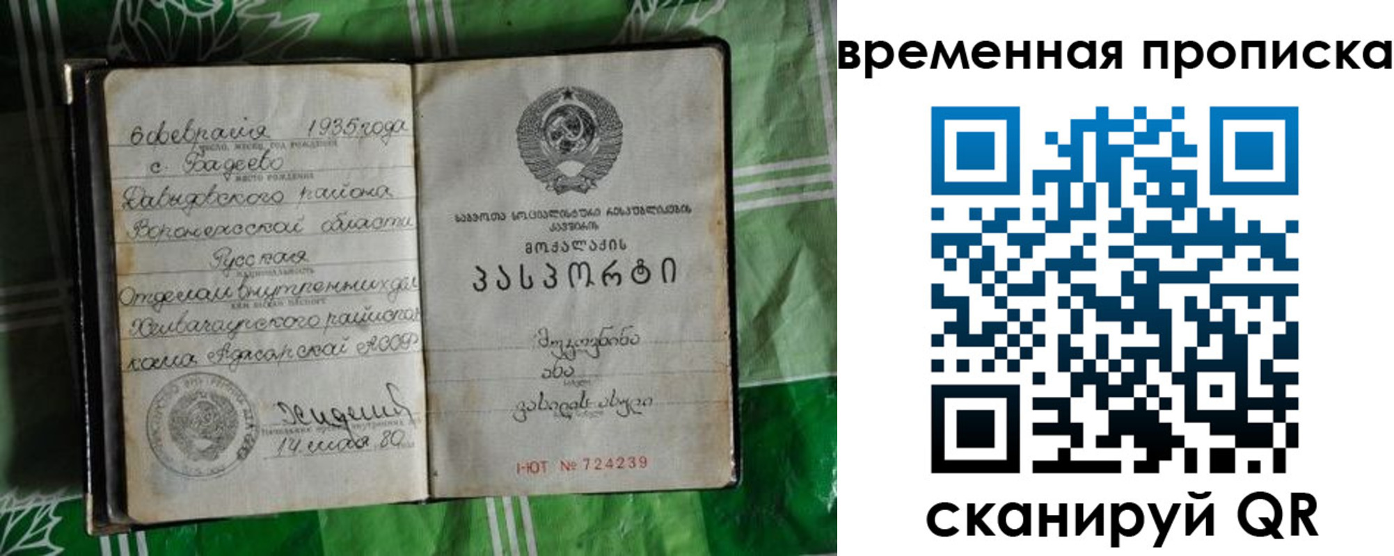 прописка в Каргополе